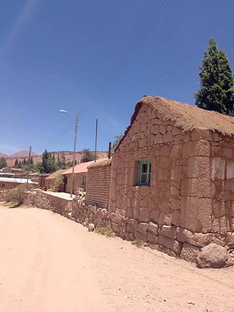 Ruta Alto el Loa: Un milagro geográfico en pleno altiplano.